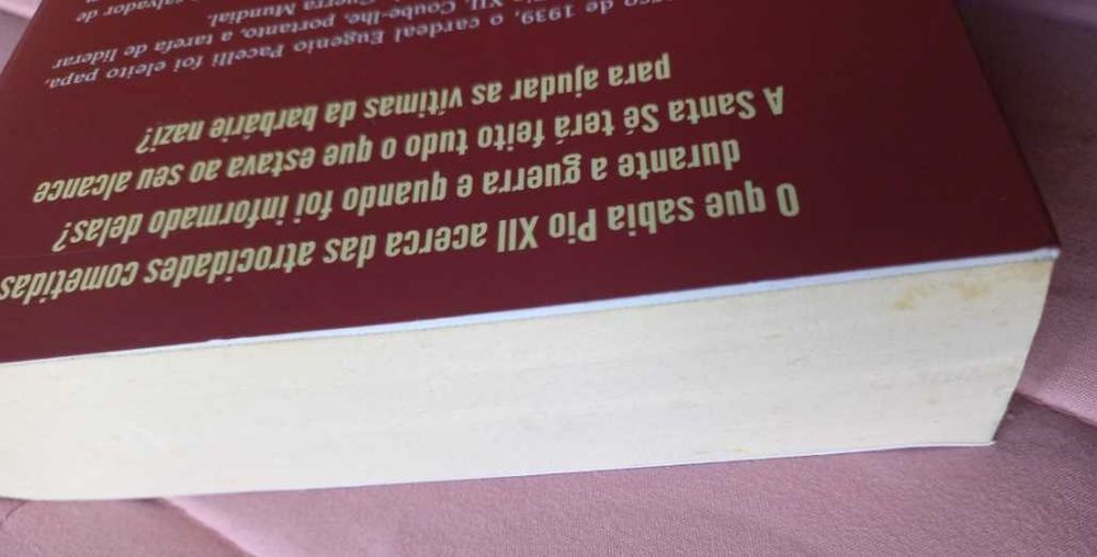 Os Judeus de Pio XII; O verdadeiro papel do Papa Pacelli - Johan Ickx