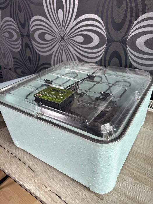 Inkubator reptibator ZooMed do jaj gadów, agama legwan gekon kameleon pyton boa bazyliszek eublefar