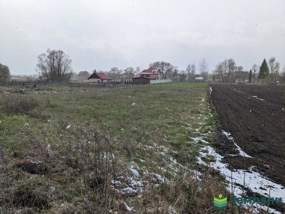 Продаж землі 32,87 сотки в с.Клубівці під забудову (5)