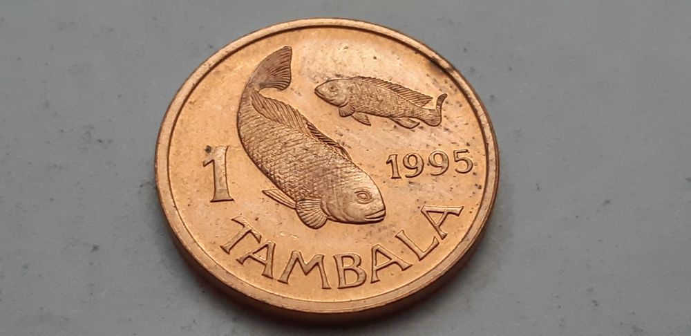Malawi - 1 tambala 1995 rok - real foto