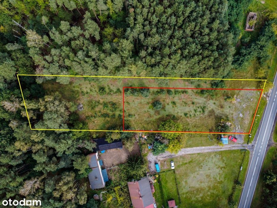 Działka 1896 m² przy lesie we Florentynowie - Widok 2