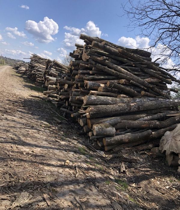 Дрова ОПТОМ та в роздріб. РАЗПРОДАЖ СКЛАДУ. 5/7/10/12.5 ск/м