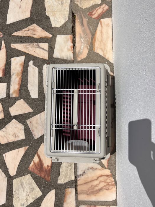 Transportadora cão/ gato