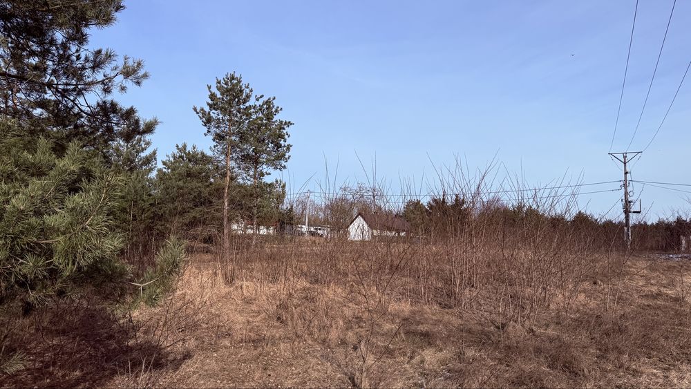 Działka budowlana 1150 m² – Rosocha-Kolonia | WZ | Lasy | Obrzeża miasta