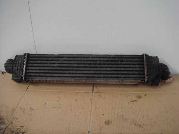 Radiador do intercooler FORD Focus II (DA_)