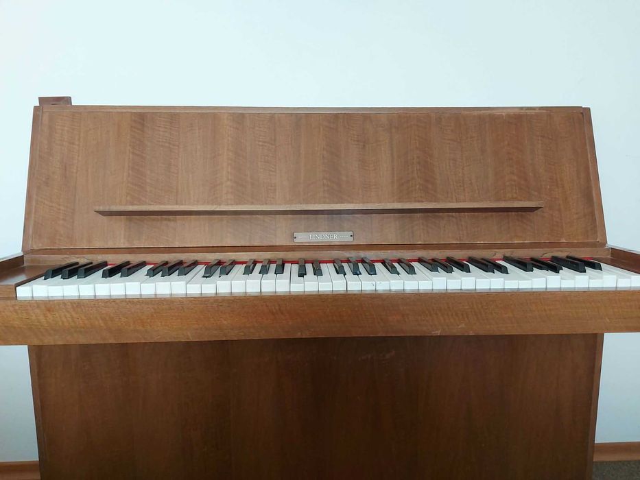 Pianino Shannon Lindner Ireland