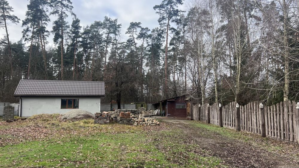 Будинок-дача ліс озеро у селі Бобриця