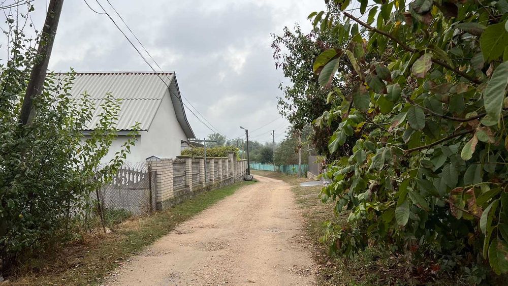 Продаж 1 поверхового будинку з ділянкою на 25 соток, с. Вахнівка