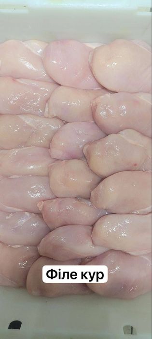 Свіже м'ясо охолоджене ! М'ясокомбінат ! Ціна від виробника 
Безкоштов