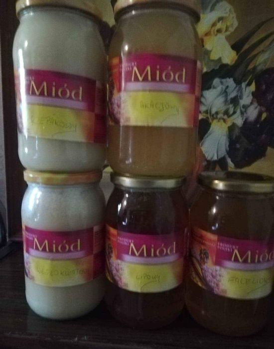 Miod z własnej pasieki