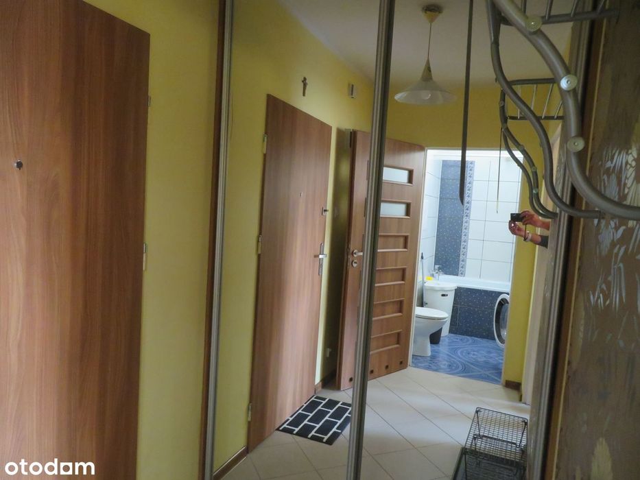 Mieszkanie 1-pokojowe w Poznaniu, 33 m²