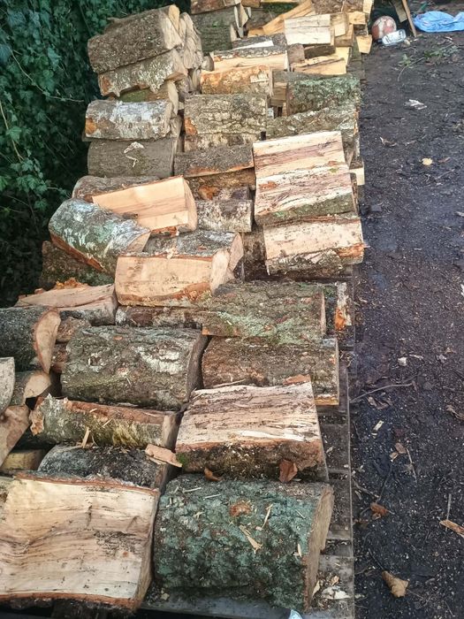 Drewno kominkowe mieszane