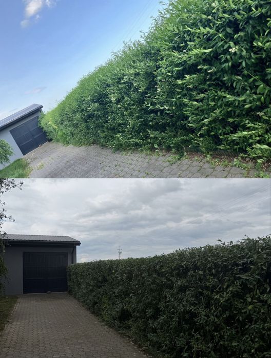 Rębak, glebogryzarka seperacyjna, koszenie, prace ogrodowe, transport