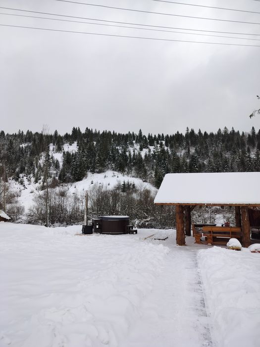 Відпочинок,оренда котеджу в Карпатах"Затишний двір" с.Пилипець