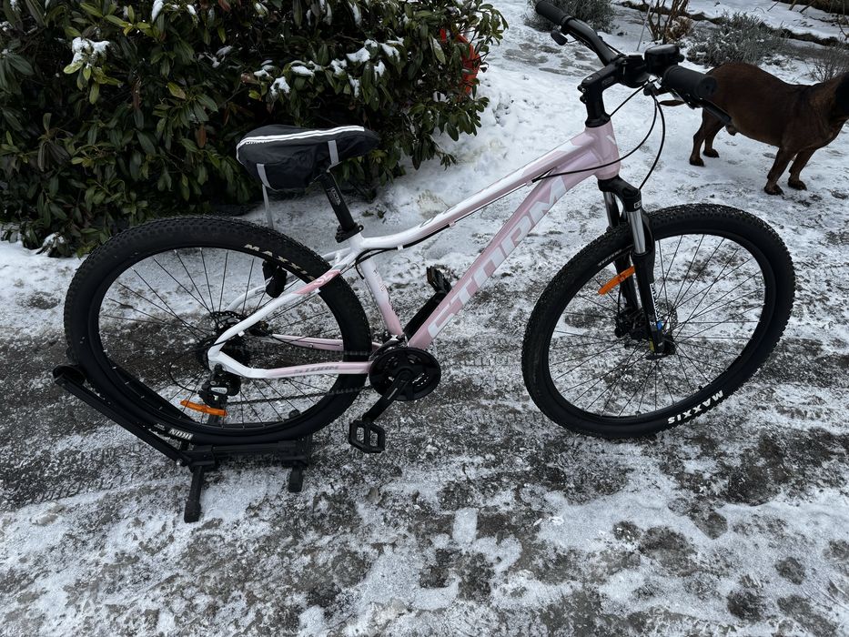 Rower Storm Shark 2.0 29” rama 16 MTB Górski
