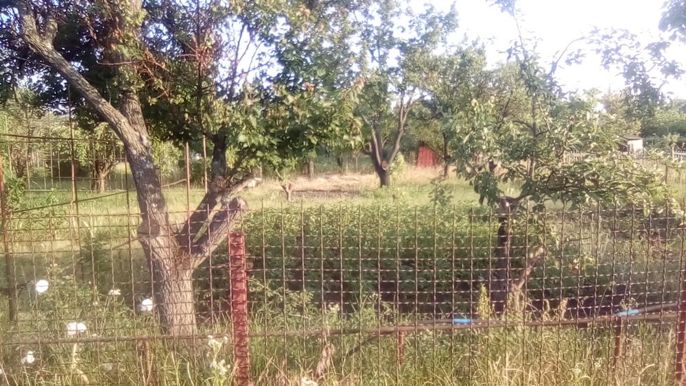 Дачний участок, дача комунальник, земельна ділянка