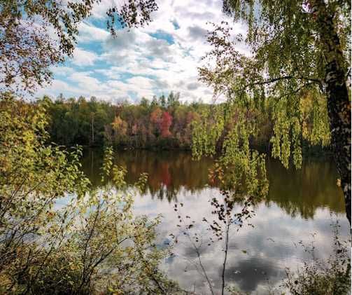 Земельна діляка  1,65 га рекреаційного призначення