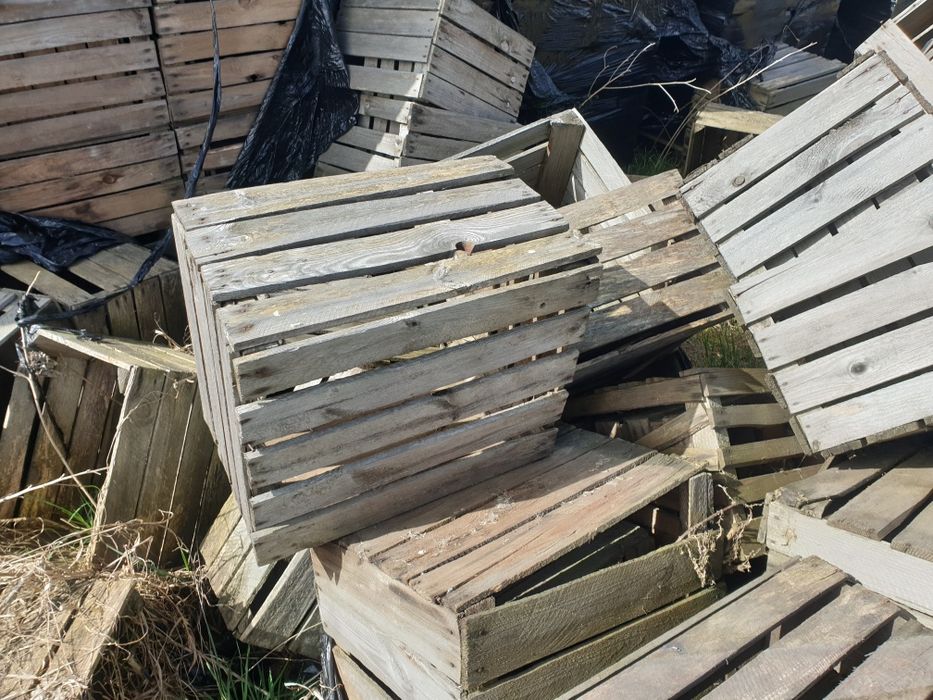 Skrzynki drewniane jedynki plastikowe do ogrodu na działkę doniczka