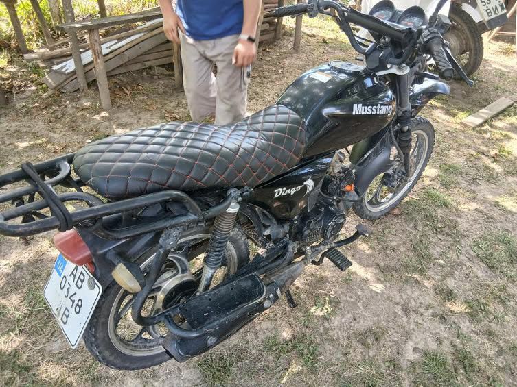 Musstang Dingo 125