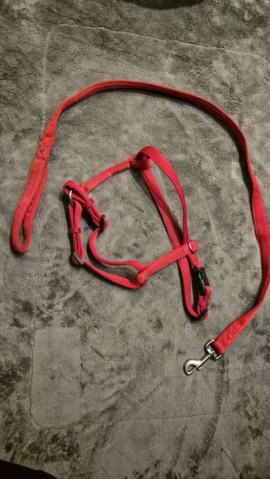 Puszorek I smycz dla psa około 10 kg