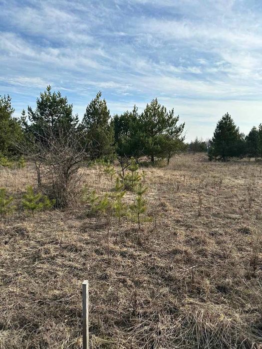 Продаж землі в Борисполі комерційного призначення