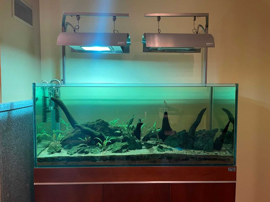 Aquário 300 L + Móvel + Iluminação + Filtro