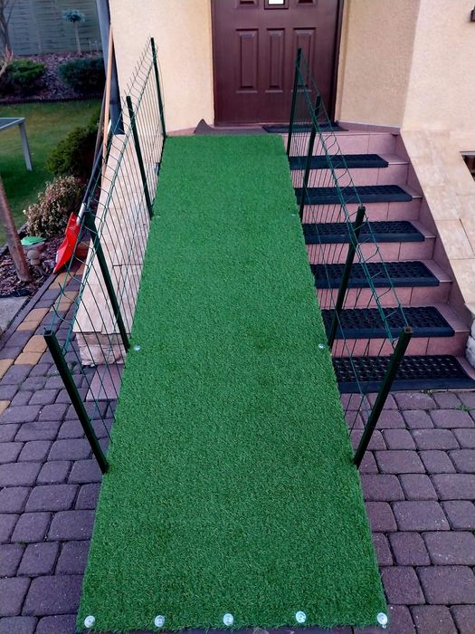 Rampa podest dla psa