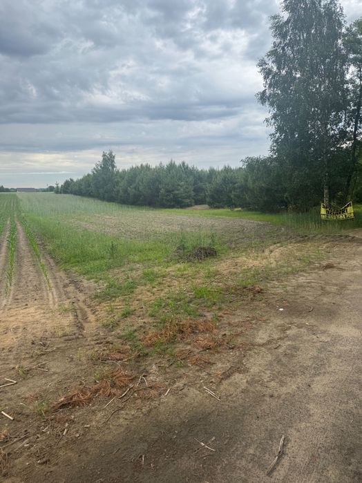 Działka z WZ blisko Kalisza. Józefków gmina Godziesze - Widok 2