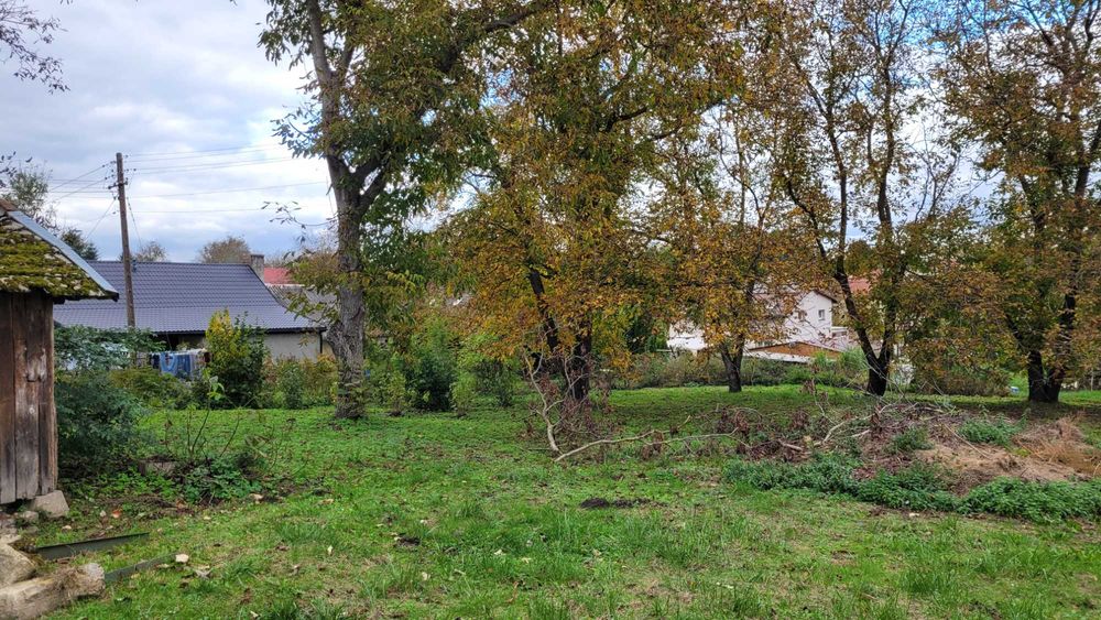 Działka budowlana z budynkiem mieszkalnym 22 ar Roźwienica - Widok 5