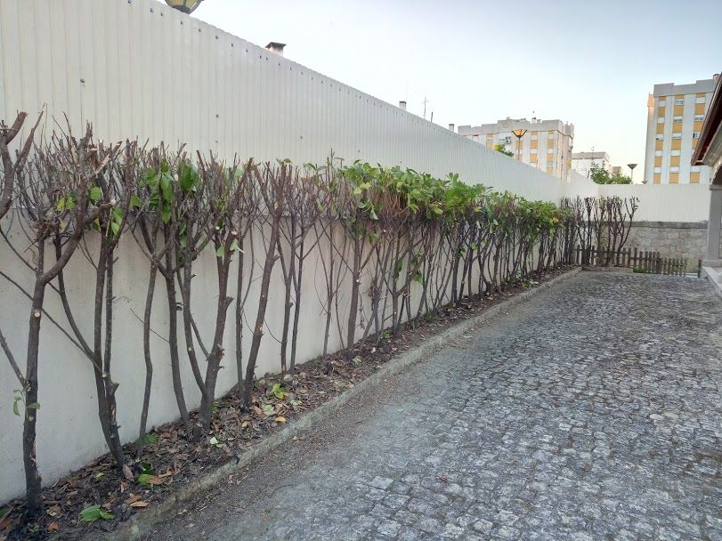 LLP-Limpeza de terrenos/ lavra terrenos/Prestação de serviços