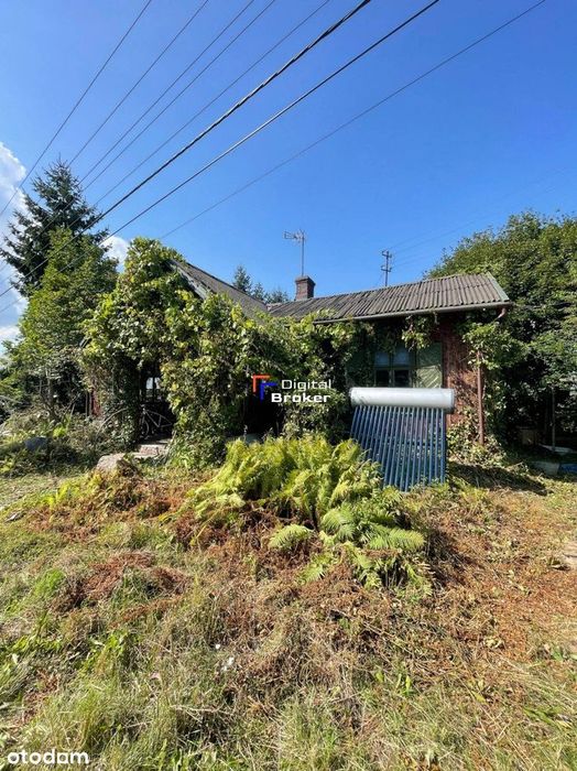 4600 m² / Dom 94 m² / Budowlana i Rolna / Las