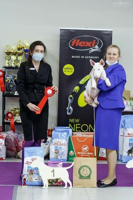 Питомник Blow Century UA