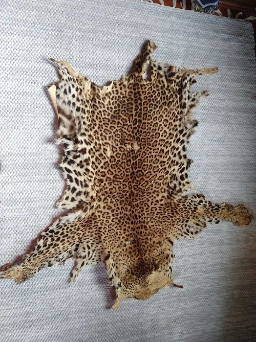 PELES De Coleção -  Vaca - Cabra - Gamo - Astrakan -  Raposa e Outras