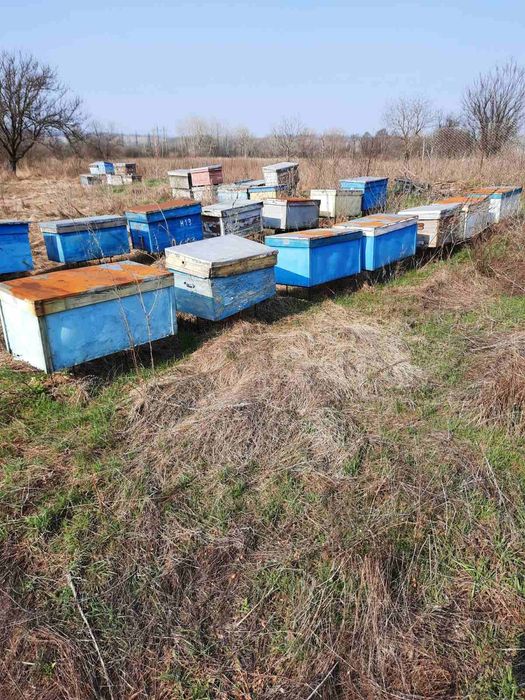 Вулики, лежаки. Пусті вулики