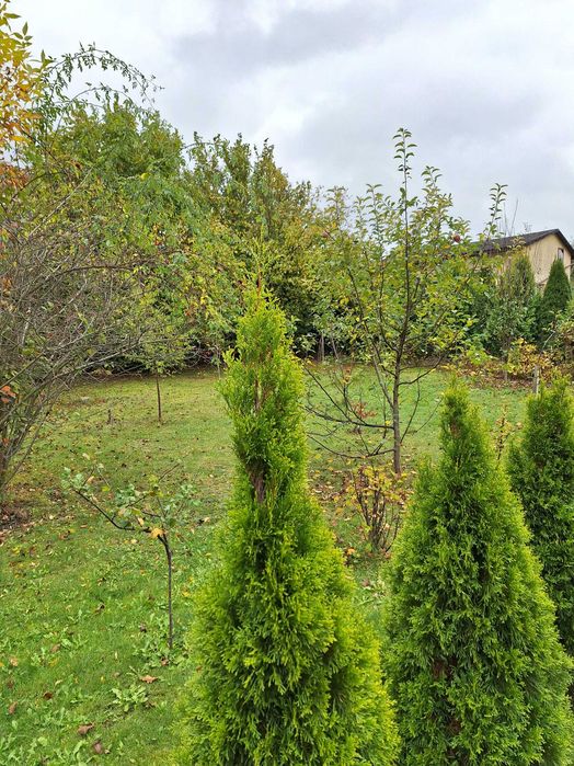 Działka ROD 400m2