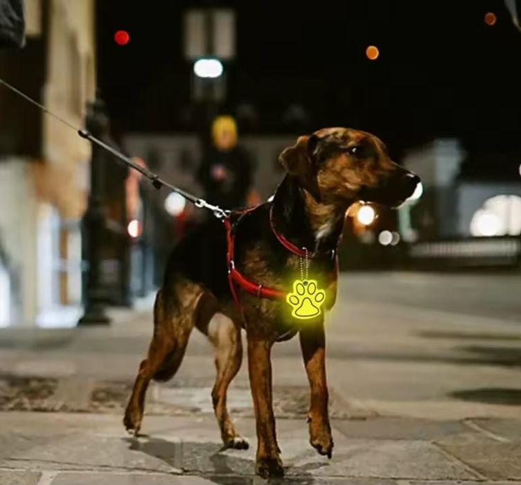 Світловідбивний брелок для вас або улюбленця