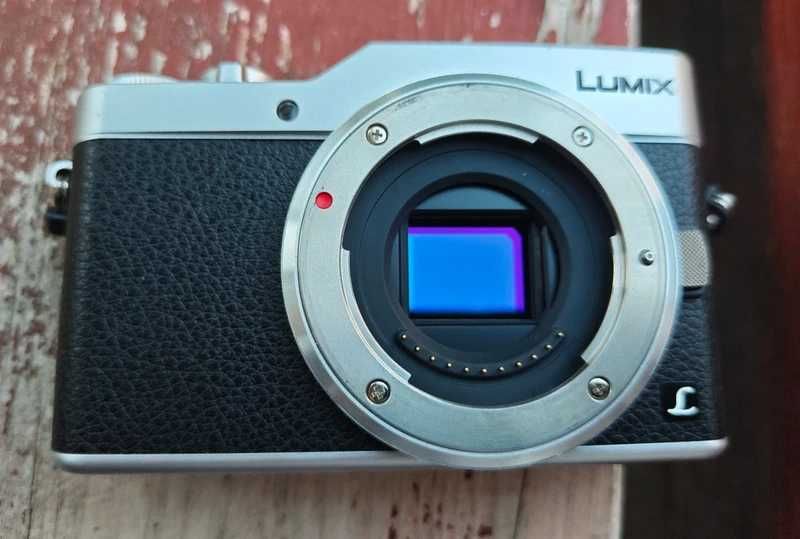 Panasonic Lumix DC-GX800