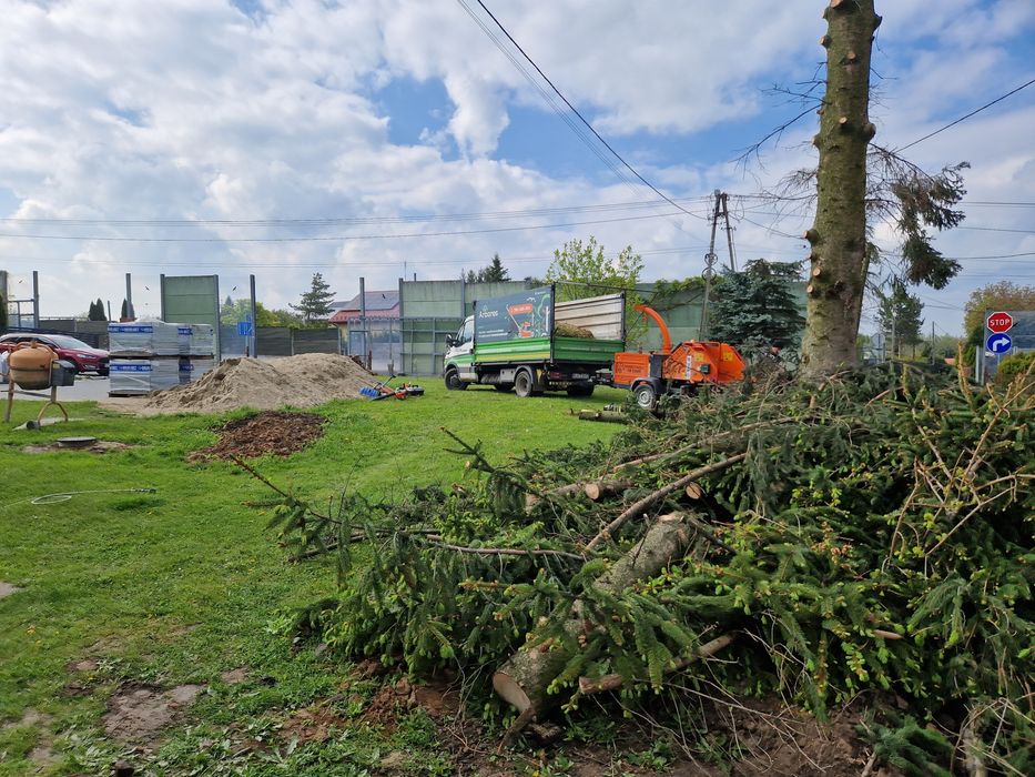 Wycinka drzew, wycinka tui, usługi rębakiem, frezowanie pni,