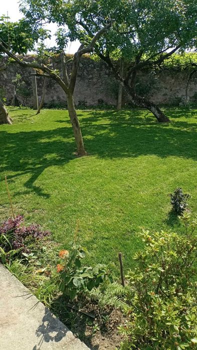 Rui Dias - Jardinagem e Limpeza de Terrenos