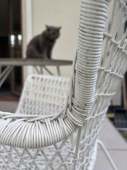 IKEA HÖGSTEN – białe krzesło ogrodowe