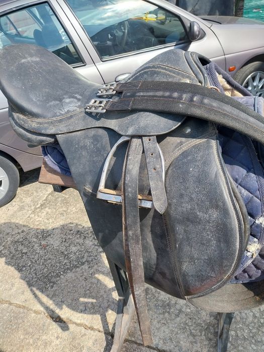 Cela pra cavalo  gr