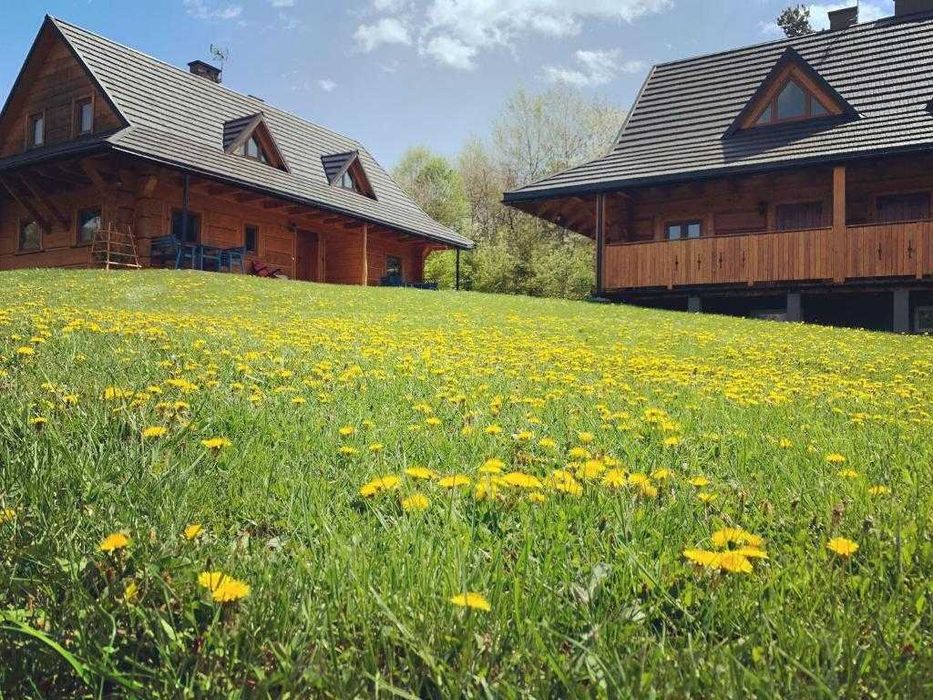 Domki Bieszczady, Sauna, Balia, Basen, Jacuzzi