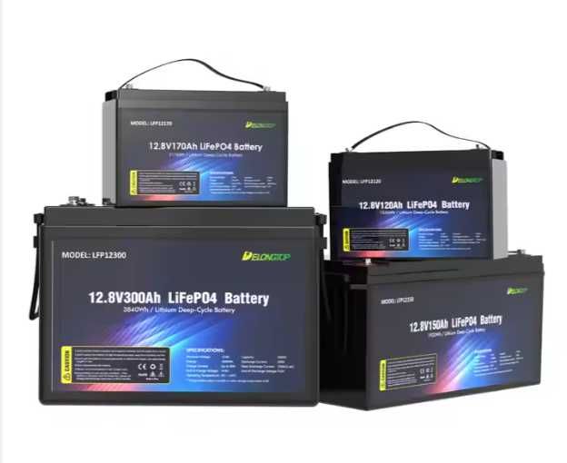 аккумулятор Lifepo4 100Ah 1280Wh