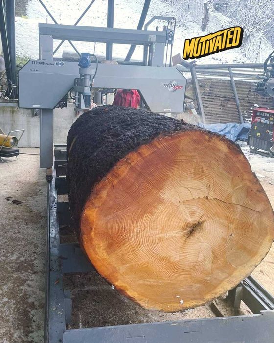 trak taśmowy pilarka taśmowa  TTP-600 STANDARD producent TRAK MET nowy