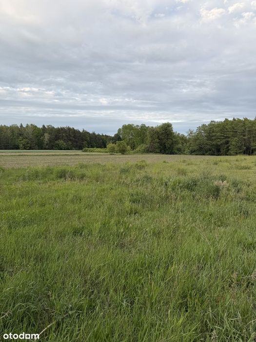 Działka z WZ 3000 m² w malowniczej spokojnej okolicy - Widok 4
