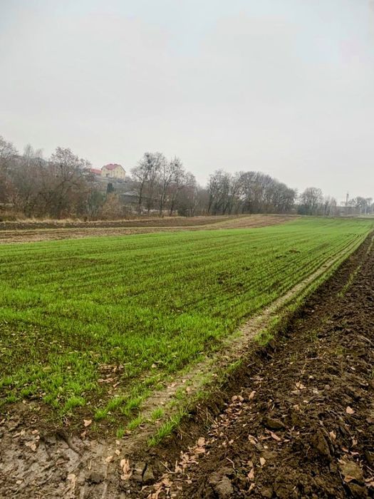 Земельна ділянка в Обарові.