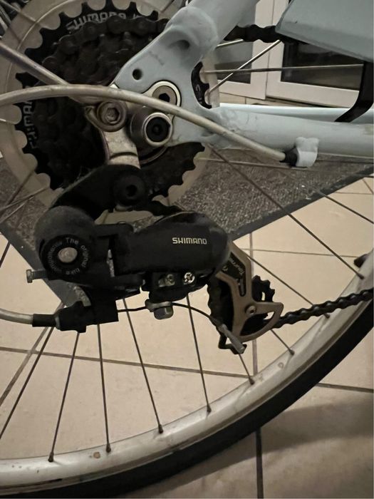 Rower Giant Flourish