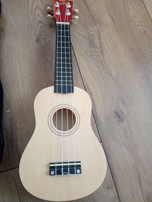 Ukulele Echo ładny stan