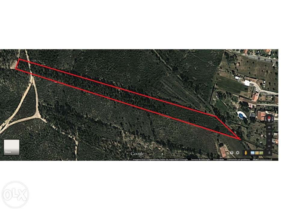 Vendo 5600 m2 em Abrantes