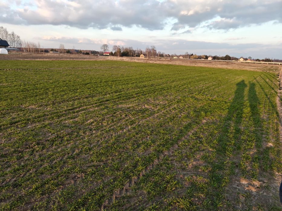 Sprzedam działkę